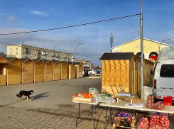 Стало известно, что «домики» у «Победы» в Камышине выставляли пробно, но вскоре их вернут, пока для спецярмарки