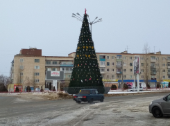 В Камышине елка- «долгожительница» на Комсомольской площади установила двухмесячный рекорд, - камышанка 