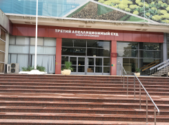 Главного фигуранта уголовного дела по камышинскому КПК «Честь» Александра Норова Третий апелляционный суд в Сочи не выпустил из СИЗО