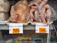 В Камышине помидоры пересекли планку в 170 рублей, а куры стоят вдвое дороже