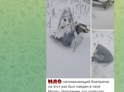 Предмет, похожий на фрагмент сбитого БПЛА, обнаружили в селе Морец, где делает остановку поезд Камышин - Москва