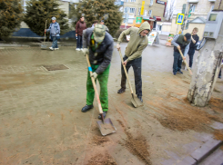 Как в Камышине начался месячник по благоустройству: в профильном МБУ решили в первую очередь расчистить остановки на центральных улицах