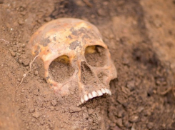Следователи Камышина установили личность несчастного, чей череп нашли в районе дач около двух месяцев назад