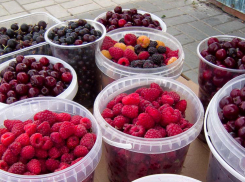 Роспотребнадзор озвучил камышанам, за чем сейчас надо ходить на рынки, чтобы спастись от инсульта и инфаркта