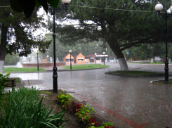 Дождь спрогнозировали синоптики для Камышина в понедельник 10 июля