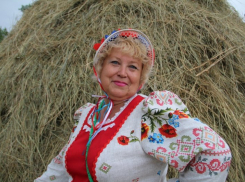 Работников культуры хотят завлечь в малые села Волгоградской области миллионом