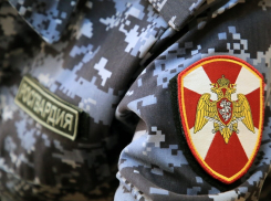 В Камышине росгвардейцы задержали разбойника, ловко присвоившего дорогой айфон студента