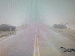 Стало известно, кто пострадал в тумане на трассе в Камышинском районе