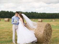 В Камышинском районе перестали расписывать женихов и невест 