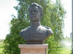 В Камышине в год столетия Героя Советского Союза камышанина Владимира Федоркова полицией расследуется дело  в отношении его племянницы