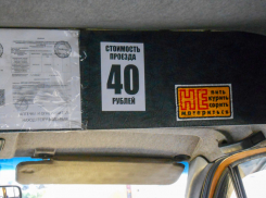 В Камышине маршрутки дружно «поехали по 40 рублей» с 1 октября