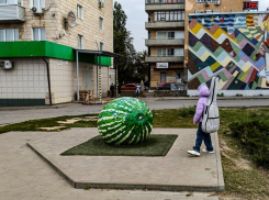 В «женском» городе Камышине за прошедший месяц мальчиков родилось в полтора раза больше, чем девочек