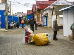 Камышане раскупают «ростовые» игрушки под Новый год