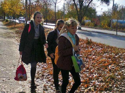 95% школьников учить виртуально: в Волгоградской области приняли программу развития образования, - «Блокнот Волгограда»