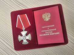 В Камышине ордена погибших героев СВО со слезами и гордостью приняли их родные
