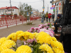Аллеей хризантем стала в эти дни часть улицы Пролетарской вдоль центрального рынка