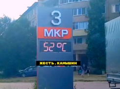 На солнце в Камышине 5 июля фиксировалось +52