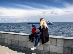 Сегодня, 16 сентября, камышан зовут посмотреть фильмы «на траве»