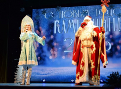 В администрации Камышина рассказали, где камышанам можно погулять в Новый год, в том числе бесплатно