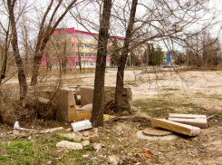 Скажите, не пора убрать этот «бомжатниковский приют» от института? - камышанка