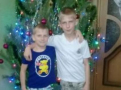 Пропавшие в селе Водно-Буерачном Камышинского района мальчики найдены живыми и невредимыми