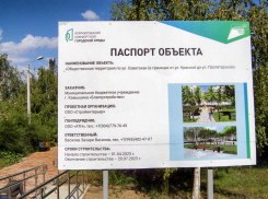 Странный аншлаг появился в Камышине на месте работ по созданию территории комфортной городской среды