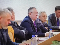Неужели журналисты ходят на заседания думы, только чтобы повторять цифры за чиновниками, как попугаи? - камышанка