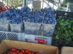 На камышинских рынках пик витаминного изобилия: мандарины стоят дороже арбузов в 25 раз