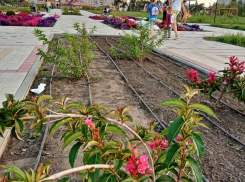 +30 - и снова +30: погода в Камышине на ближайшие дни