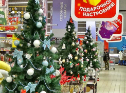 В Камышине гипермаркет приглашает покупателей прогуляться по аллее новогодних елок в торговом зале - но лучше с тугими кошельками