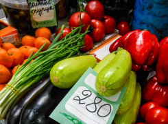 В Камышине свежие кабачки выложили на центральном рынке по головокружительной цене