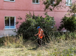 Свет и холодную воду отключают коммунальщики в Камышине завтра, 13 августа: где именно?