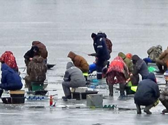 В Камышине горожан зовут на фестиваль по ловле рыбы - платный, но зато с шашлыками