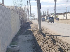 Отращивайте крылья, пешеходных дорожек не будет! - камышане