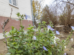 Свет, а также холодную и горячую воду будут отключать в Камышине сегодня, 4 декабря