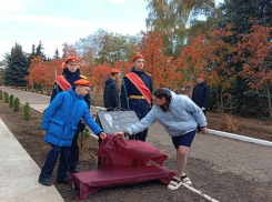 Аллея из 32-х вечнозеленых деревьев появилась в Камышине у школы №7: столько лет было ее выпускнику, герою СВО Николаю Спирину