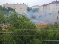 В объектив камышан попал ландшафтный пожар в городе