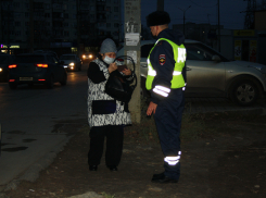 До Нового года дорожные полицейские Камышина будут работать с пешеходами и через громкоговорители