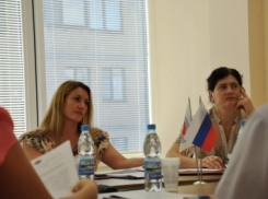 Административные информресурсы Камышина норовят дать кандидатам бесплатной площади со «спичечный коробок», а за деньги «нарезать гектар»