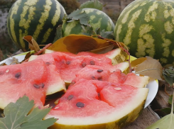 Фермер Михаил Земляков из Камышинского района накормил бесплатно всех желающих солеными арбузами, помидорами и капустой