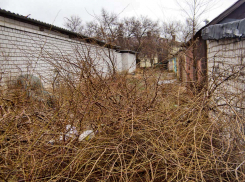 В Камышине в гараже обнаружен труп мужчины