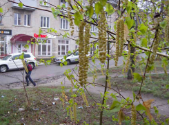 Гроза и сильный ветер 1 мая обрушатся на Волгоградскую область