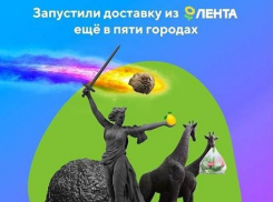 Жители Волгоградской области в шоке, что крупный сетевик совместил в рекламной картинке «Родину-мать» с... жуком-навозником и жирафами