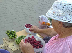 В Камышине поспел второй урожай малины, но...