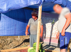 В Камышине на придорожных ярмарках арбузы стали отдавать по 25 рублей за килограмм