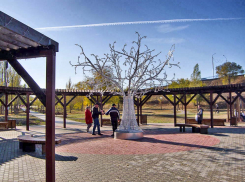 Станислав Зинченко высказался на Общественном совете по теме вандализма в том духе, что он верит в культуру камышан, несмотря на желание некоторых утопить скамейки с набережной в Волге