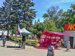 В Камышине уличные музыканты поют за милостыню, пока полиция не выгонит? - камышанка
