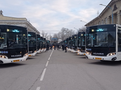 Может ли Камышин дождаться своей очереди на получение новых волжских автобусов, и если да, то когда? 