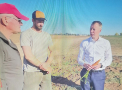 Депутат камышан в Госдуме Алексей Волоцков с морковкой в руках отчитался, чем занят в эти дни