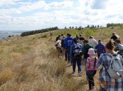 Школьники приняли участие в проекте «Погружение» в природном парке «Щербаковский» в Камышинском районе